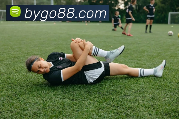 博源国际官网发展历程